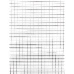 Сетка сварная оцинкованная, 10×1 м, ячейка 10×10 мм, d=0.6 мм, металл, Greengo
