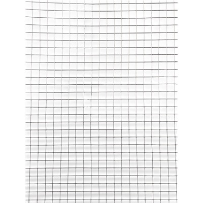 Сетка сварная оцинкованная, 10×1 м, ячейка 10×10 мм, d=0.6 мм, металл, Greengo