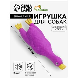 Игрушка пищащая «Летящая утка» для собак, 24×7 см, фиолетовая