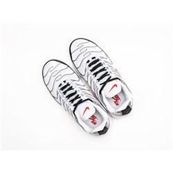Кроссовки Nike Air Max Plus TN