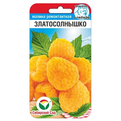 Малина Златосолнышко (Код: 91374)