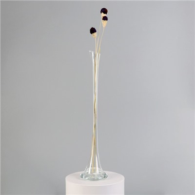 Ваза «Фристайл», 200 мл, d=2.5 см, 40×9.5 см, стекло, прозрачная