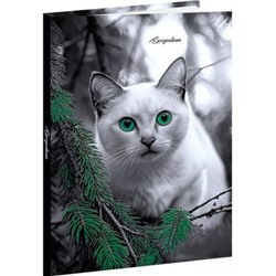 Ежедневник недатированный А5 160 стр. "ЗЕЛЕНОГЛАЗЫЙ КОТ" 80-6761 Проф-Пресс