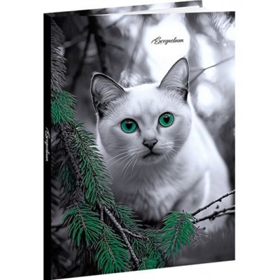 Ежедневник недатированный А5 160 стр. "ЗЕЛЕНОГЛАЗЫЙ КОТ" 80-6761 Проф-Пресс