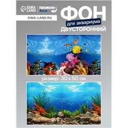 Фон для аквариума двухсторонний, 30×50 см