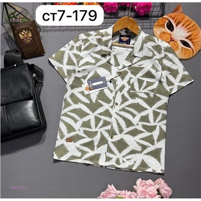 рубашка 2050783-1