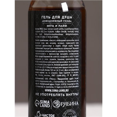 Подарочный набор новогодний мужской «Год сулит успех»: гель для душа и шампунь для волос, 2×100 мл, Чистое счастье