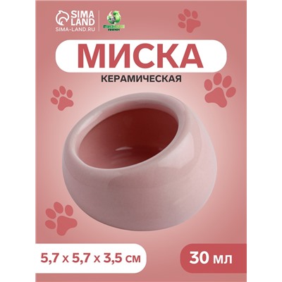 Миска керамическая для грызунов со скошенным краем 30 мл 5.7×5.7×3.5 см, розовая
