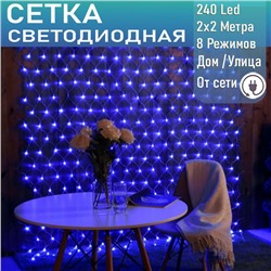 Светодиодная сеть (220в,2х2м, синяя)