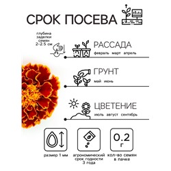 Семена цветов Бархатцы «Болеро», 0.2 г