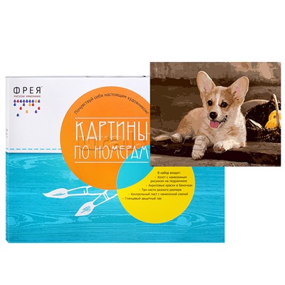 Набор для раскрашивания по номерам 40х50 "Вельш-Корги" №71