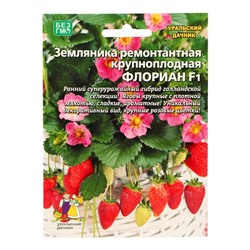 Семена Земляника ремонтантная «Флориан», F1, крупноплодная, 5 шт., «Уральский Дачник»