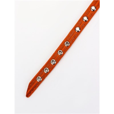 Ошейник, 29×1.2 см, ОШ 18-25 см, однослойный, украшенный, кожа, цвет МИКС