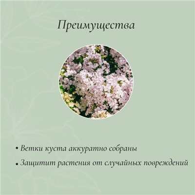 Кустодержатель для цветов, d = 40 см, h = 80 см, ножка d = 1 см, металл, зелёный