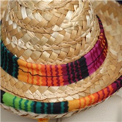 Шляпа для животных, размер S, 16×8×7 см