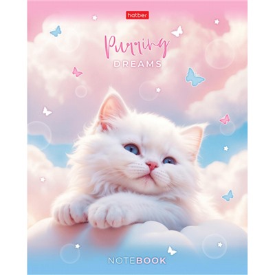Тетрадь  48л клетка пластиковая обложка 300мкм "Нежные мечты" (092369) Хатбер