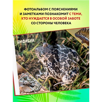 Эксмо Дмитрий Лукашанец, Екатерина Лукашанец "Красная книга России. Млекопитающие, птицы, рептилии, амфибии, рыбы, насекомые"