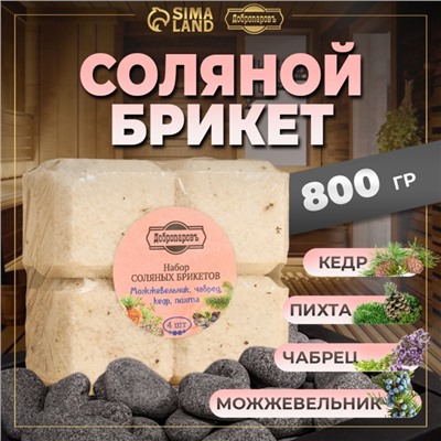 Соляной брикет набор 4 шт. "Можжевельник, чабрец, кедр, пихта« по 200 г »Добропаровъ"