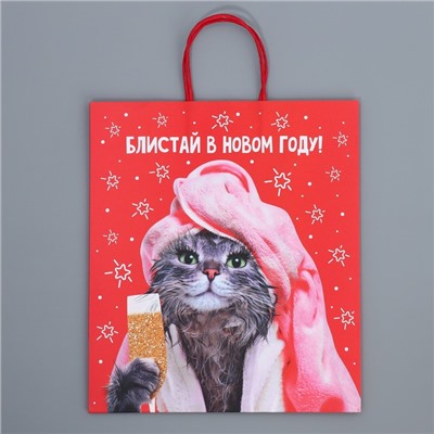 Пакет подарочный новогодний крафтовый «Блистай», 28×32×15 см