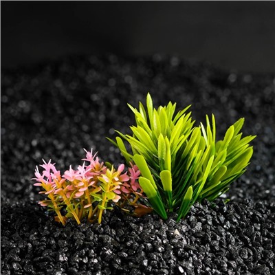 Растение искусственное аквариумное, на подставке под камень, 14×11×7 см