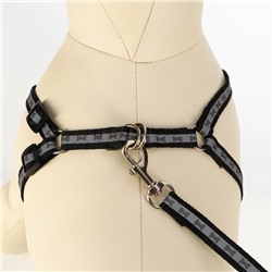 Шлейка с поводком «Косточки», ОШ 22-34 см, ОГ 22-34 см, поводок 1×120 см, светоотражающая, чёрная