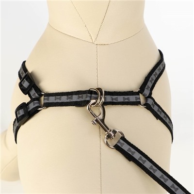 Шлейка с поводком «Косточки», ОШ 22-34 см, ОГ 22-34 см, поводок 1×120 см, светоотражающая, чёрная