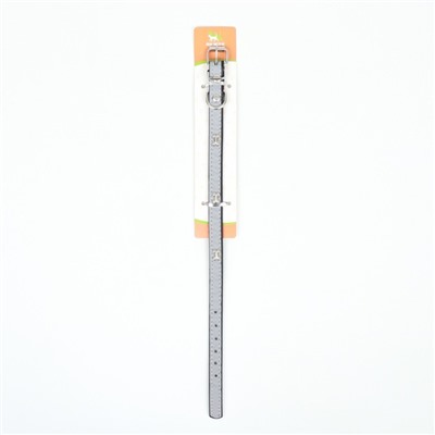 Ошейник «Пижон» с косточками, светоотражающий, 37×1.3 см, ОШ 26-33, чёрный