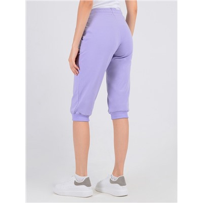 VISERDI Бриджи 3155-сир 851670