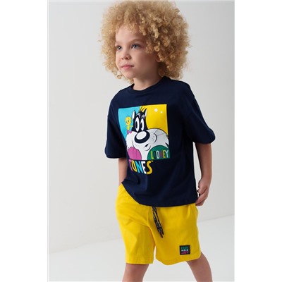 Комплект трикотажный для мальчиков: фуфайка (футболка), шорты PLAYTODAY, 1239619