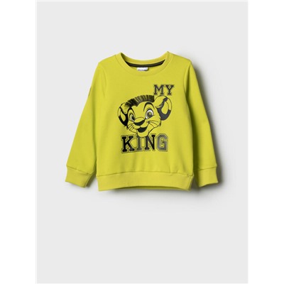 Толстовка трикотажная для мальчиков