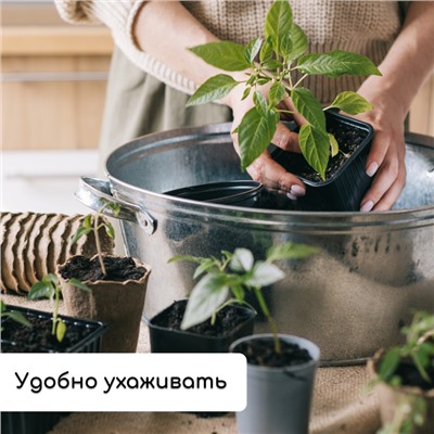 Набор для рассады: стаканы по 320 мл (18 шт.), поддон 51 × 26 см, Greengo