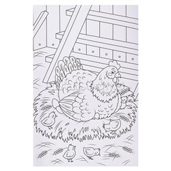 Макси-раскраска. Домашние животные