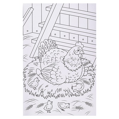 Макси-раскраска. Домашние животные