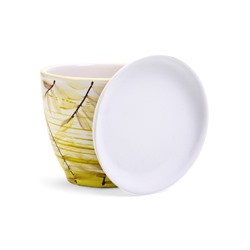 Горшок для цветов «Тропики », 1 л, d=15 см, h=13 см, с поддоном, керамика, белый