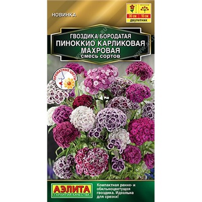 Гвоздика Пиннокио Карликовая махровая смесь (Код: 93144)