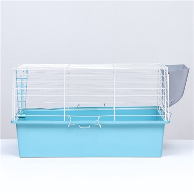 Клетка для грызунов «Пижон» №1 складная, 58×40×34 см (+миска, 2 кормушки), бирюзовая