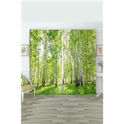 Фотошторы 10702 НАТАЛИ, 882887