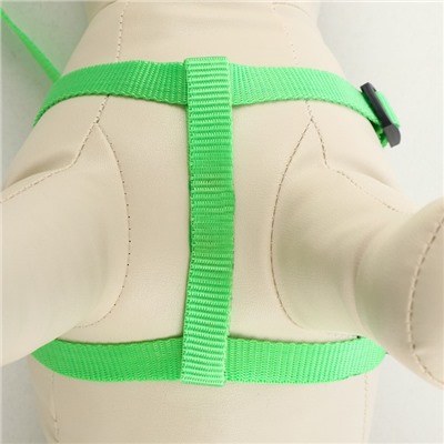 Шлейка с поводком «Базис», 32-46×1.5 см, поводок 120×1.5 см, зелёная