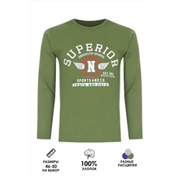 Футболка с длинным рукавом ФН176 Superior
