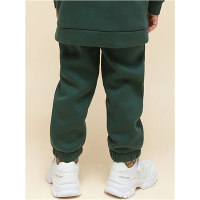 PELICAN Брюки UFPQ3323