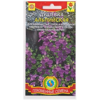 Душевка альпийская (Код: 75898)