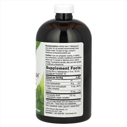 Nature's Way, Chlorofresh, жидкий хлорофилл, с ароматом мяты, 132 мг, 473,2 мл (16 жидк. унции)