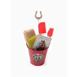 Набор подарочный Доляна «Лошадь», 6 предметов, полотенце и аксессуары