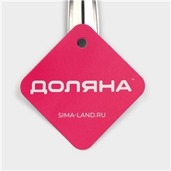 Сито набор Доляна «Металлик» для снятия пены, 3 штуки, серебристое