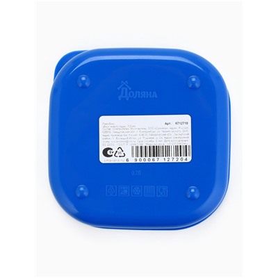 Ланч - бокс новогодний «Зима время мечтать», 700 мл