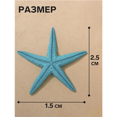 Набор натуральных морских звезд, 1.5 - 2.5 см, 20 шт., синий