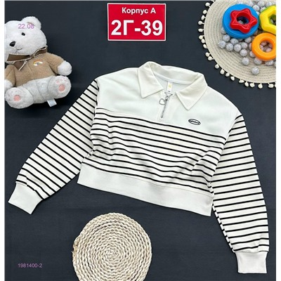 кофта 1981400-2