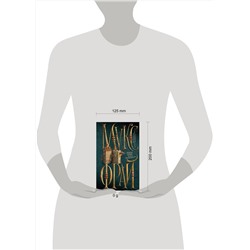 АСТ Макс Фрай "Ловцы книг. Волна вероятности"