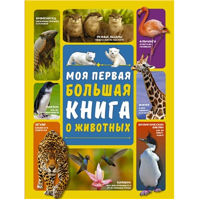 АСТ Л. Вайткене , Д. Ермакович "Моя первая большая книга о животных"