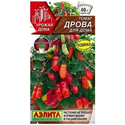 Томат Дрова Комнатный Аэлита